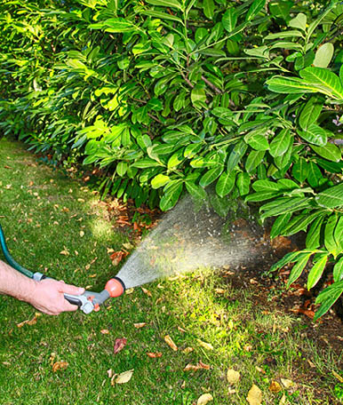 Para manter o seu jardim saudável e vivo não pode abdicar de uma rega adequada ao seu espaço. Ao utilizar a mangueira correta, vai conseguir conduzir a água desde a origem até aos emissores, na quantidade certa. 