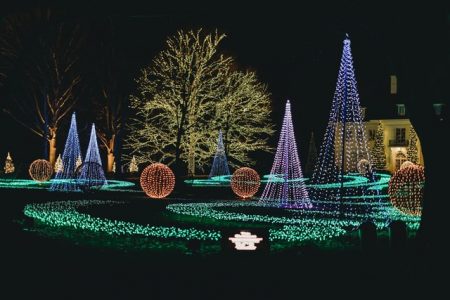 Jardim Luzes de Natal